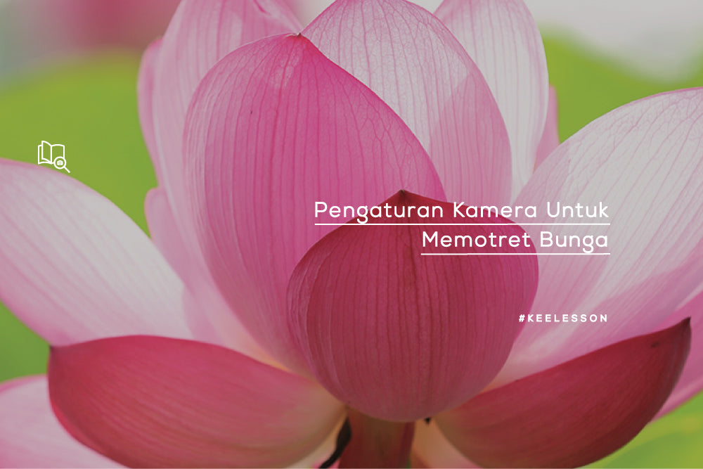 Pengaturan Kamera Untuk Memotret Bunga