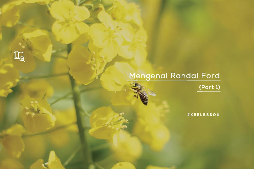 Mengenal Randal Ford-KEE INDONESIA