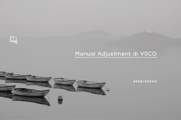 Manual Adjustment di VSCO