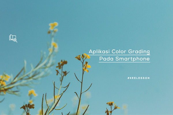 Aplikasi Color Grading Pada Smartphone