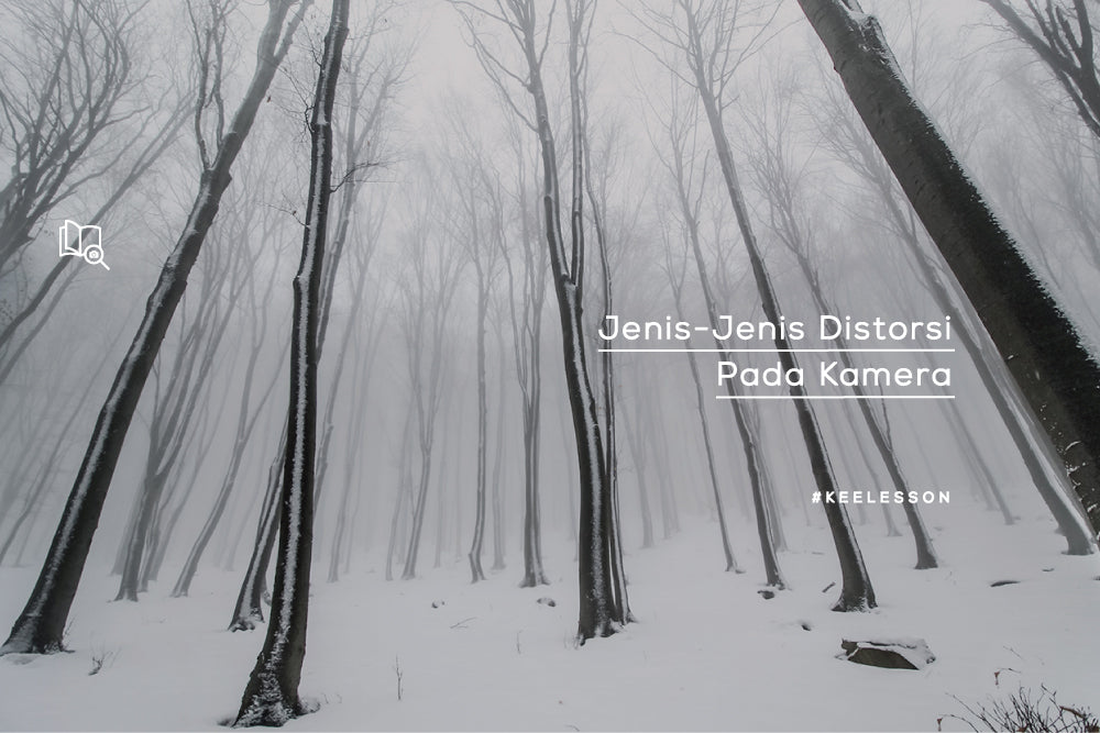 Jenis-Jenis Distorsi Pada Kamera