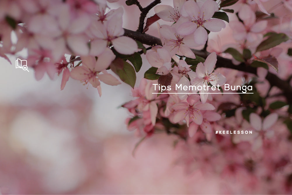 Tips Memotret Bunga