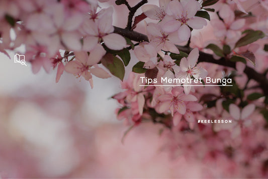 Tips Memotret Bunga
