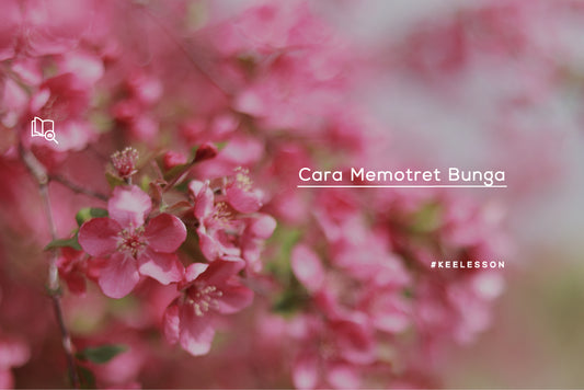 Cara Memotret Bunga